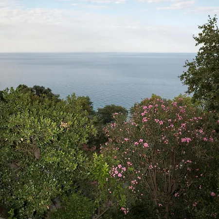 Christoforos' Sea View 別荘